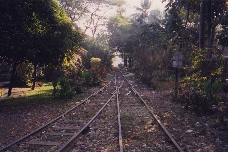 Railroad tracks run along the waterfront, known as the Strand. The tracks are a spur line: the city's main station lies four superblocks to 