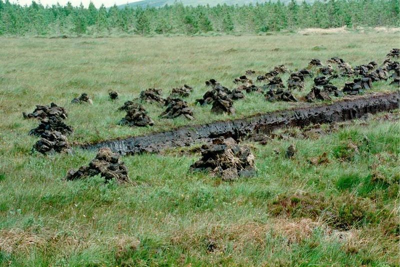 Old photographs show peat stacked outside crofters' houses. The stuff is still being cut.