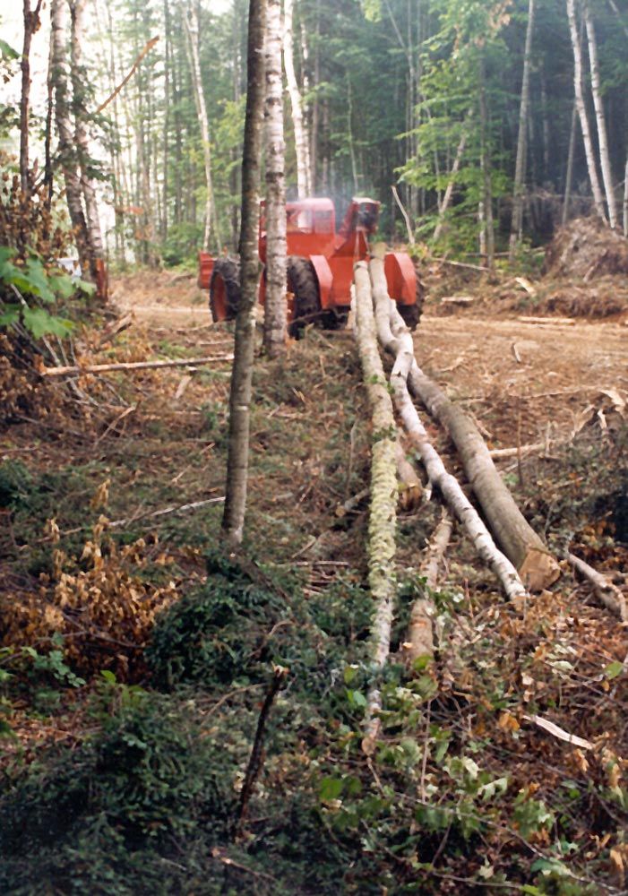 A very large percentage of the wood fiber winds up as pulp or paper. It's been that way since both International Paper and Great Northern st