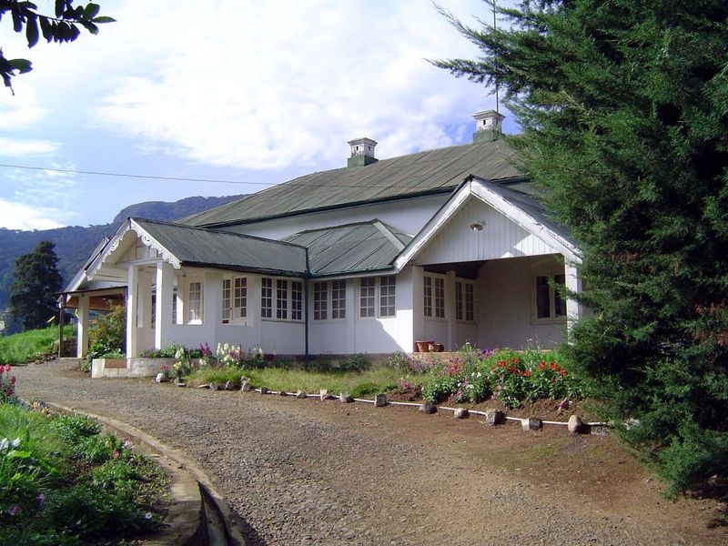 Many of the old bungalows have backyard vegetable patches, too.