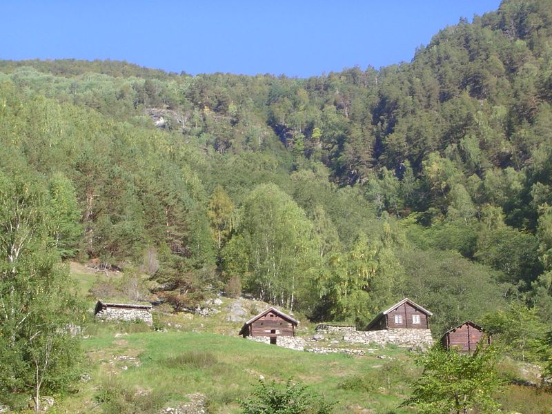 Here's a farmstead or cotter's farm in situ. It's the Galdane croft, finally abandoned in 1947, though maintained now as an example of its r