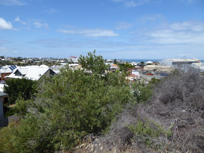 You can catch a glimpse of a gantry crane at Fremantle's container port.