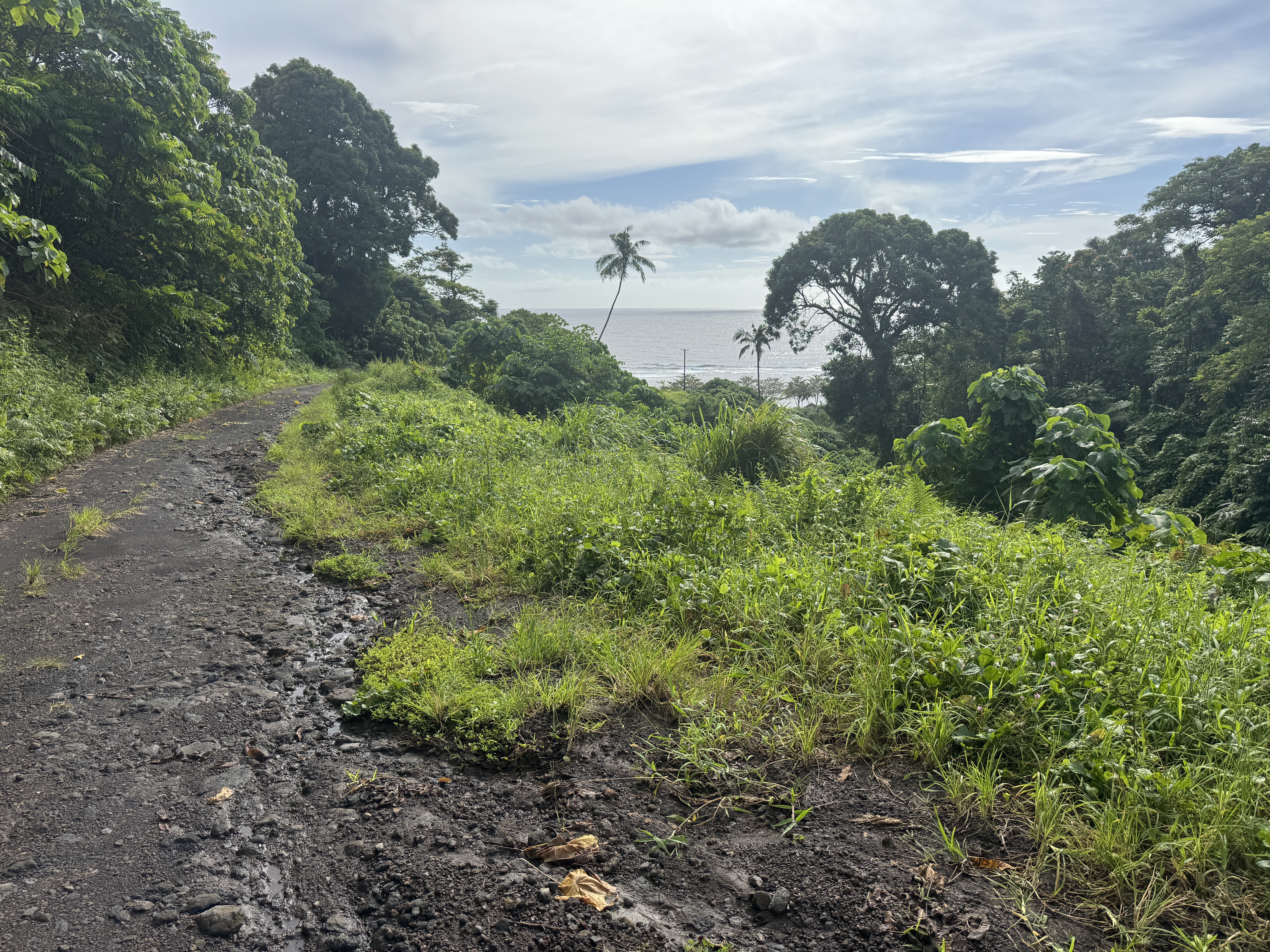 Or we could go exploring and walk down this deserted road to Tiavea Beach.