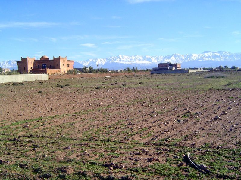 Back down on the Houaz, isolated villas hint at the presence of the city.