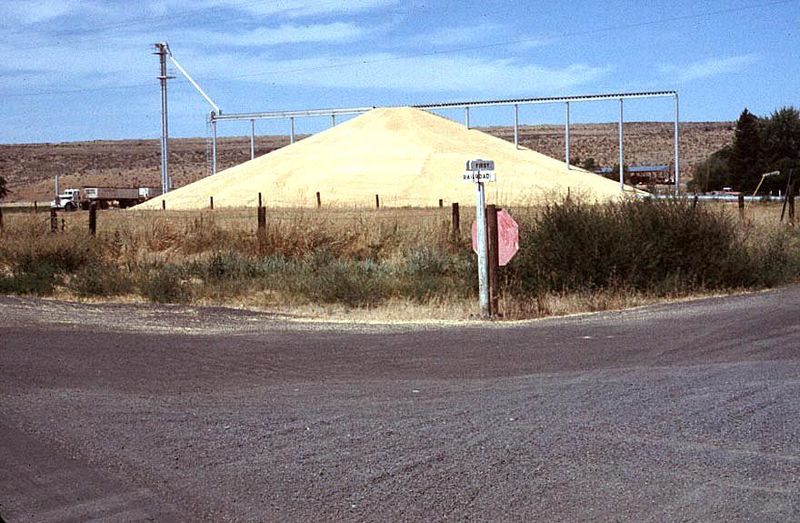 Where to put the wheat that grows here? Elevators are expensive, and railcars are scarce. Pile 'er up.