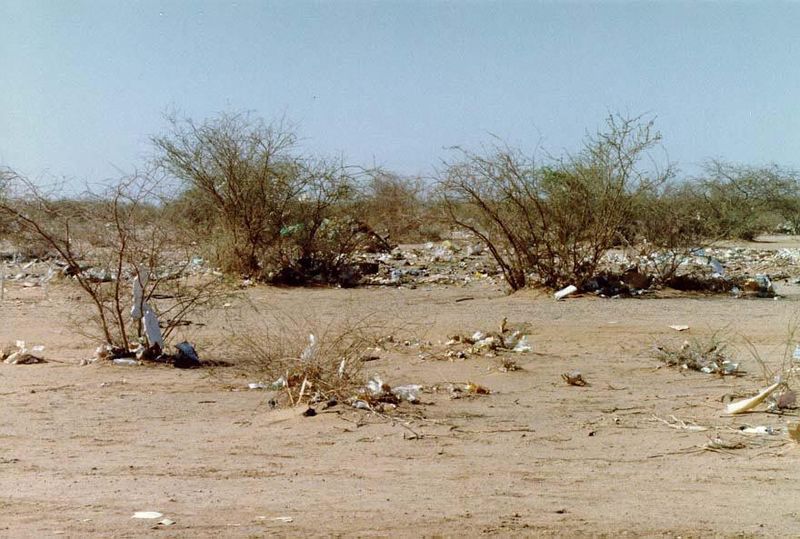 Paper and plastic trash blow across the sand until snagged by shrubs. Squint a bit, or otherwise ignore the trash, and you see the pristine 