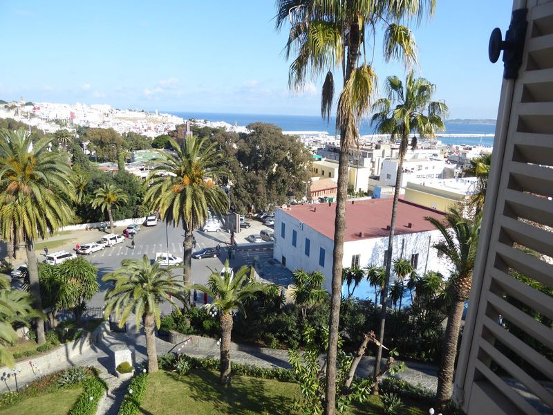 View from that room, with the Mendoubia garden on the left and the medina rising behind it. Most of this scene appears in "Paysage vu d'une 