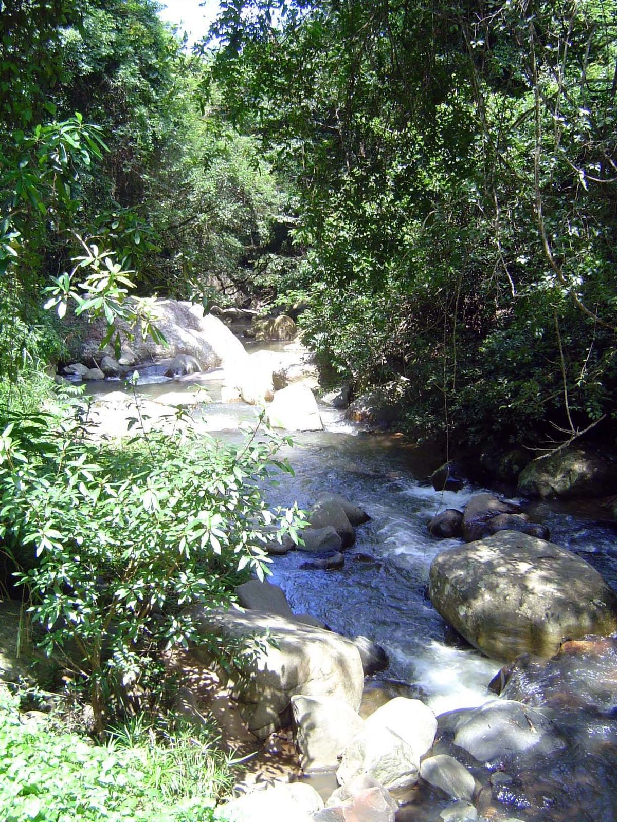 The stream itself is too rough to follow easily.