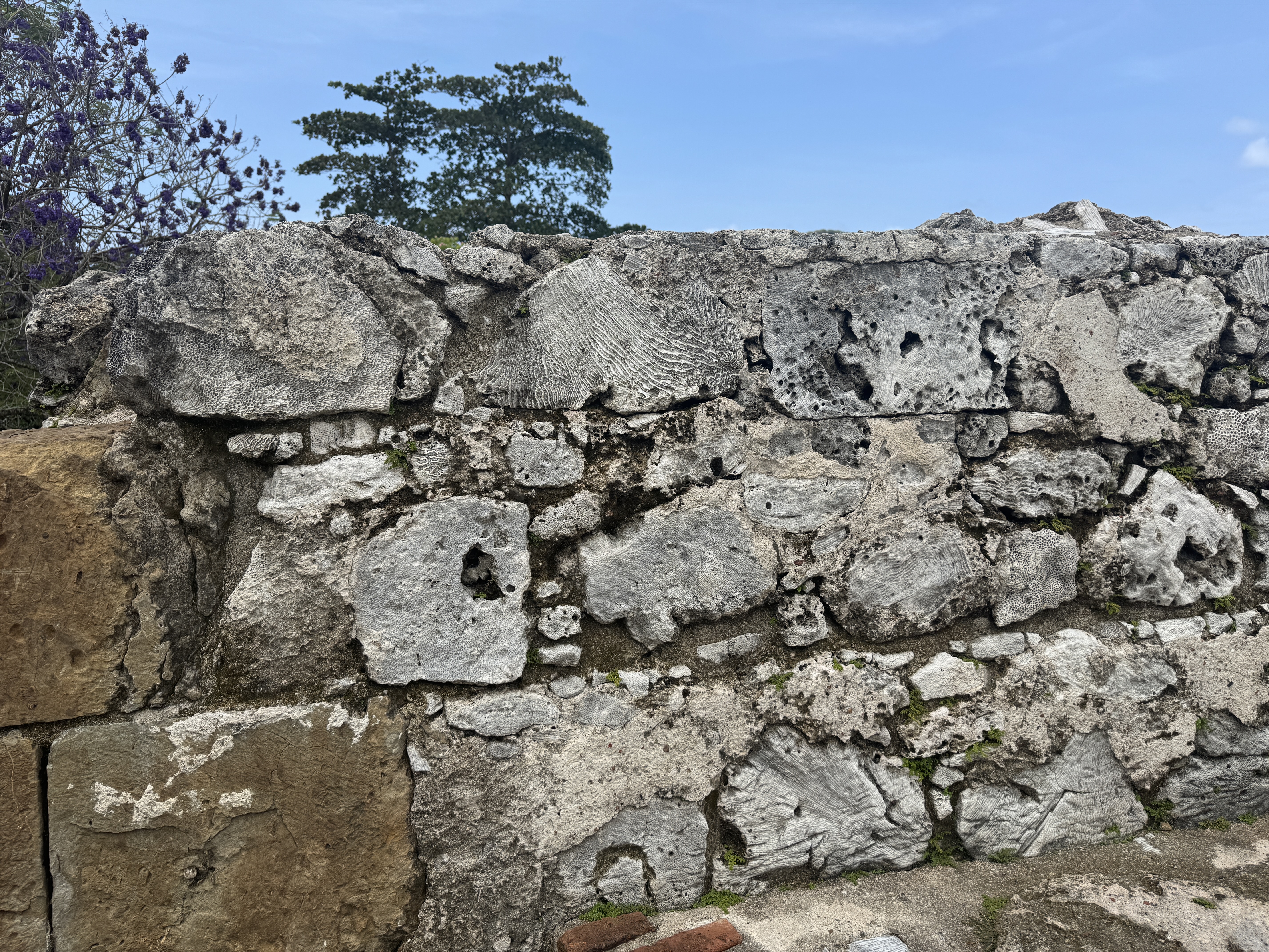For me, the most interesting detail in the fort was the stone.