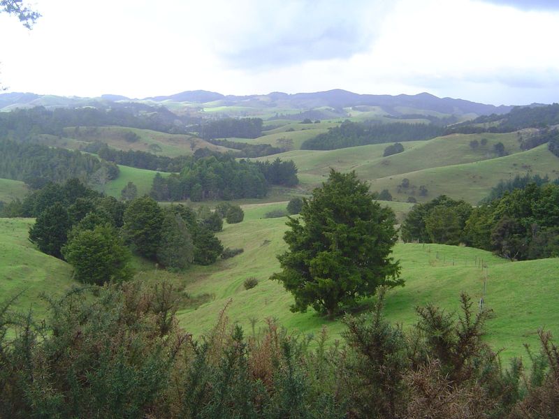 Makes you appreciate terra firma, in this case seen from Kaiatea Road, 15 miles north and on the road to Tutukaka. Just practice.