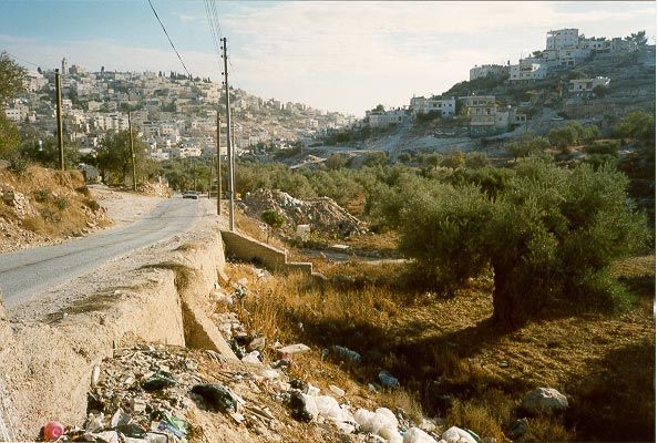 Bethlehem used to be surrounded by olive groves, but urban expansion, Israeli controls, and neglect have decimated them. Here, on the south 
