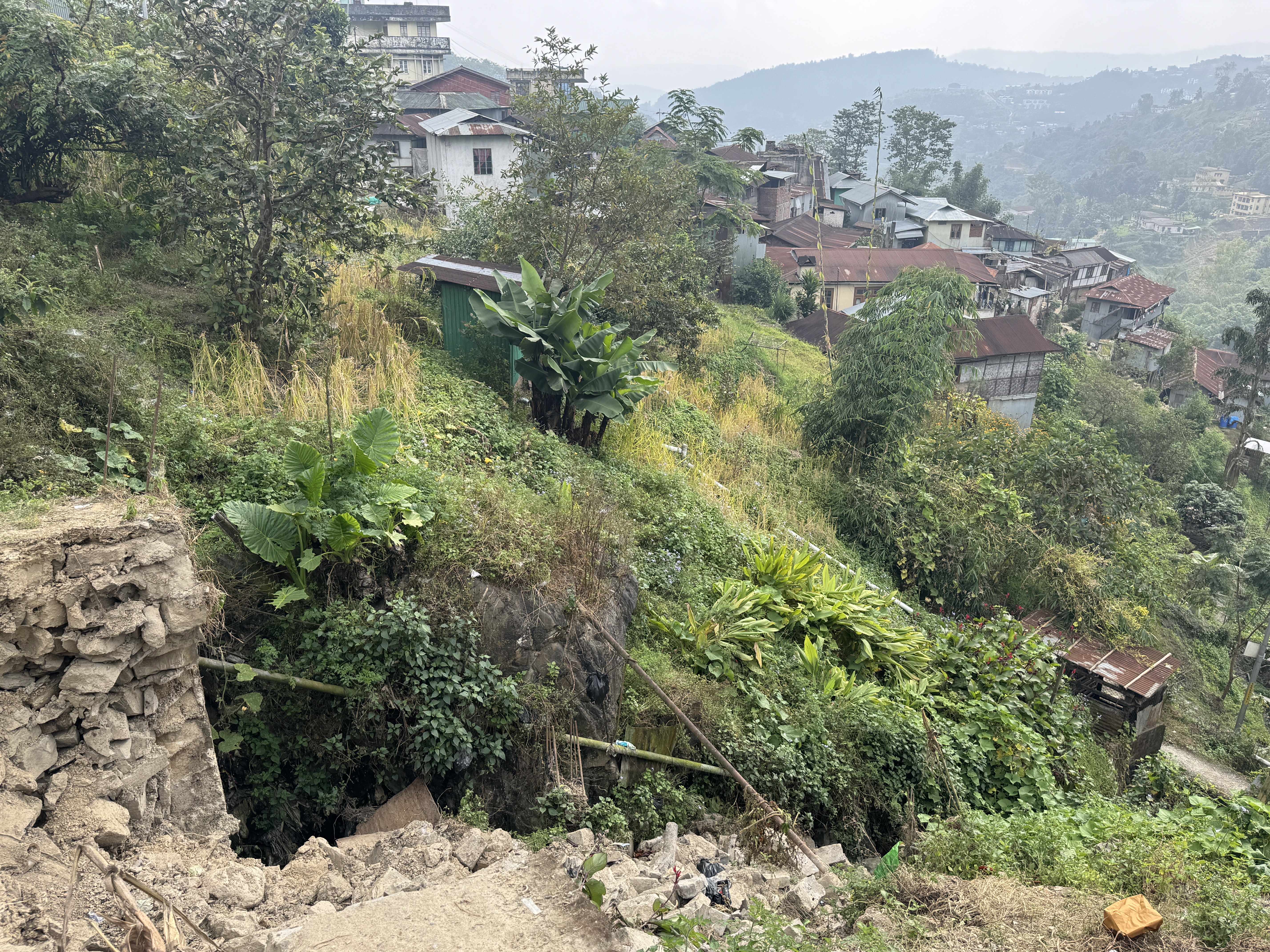 A path circumvents a gully.