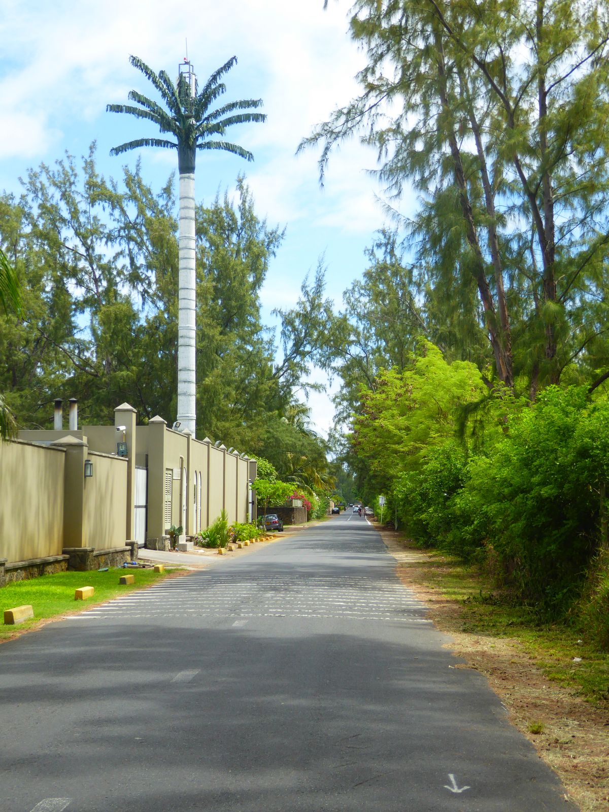 We're on the west side of the mountain, where a good road leads to the hotels lined up here. Some juxtaposition, no?

Nice palm tree, huh?