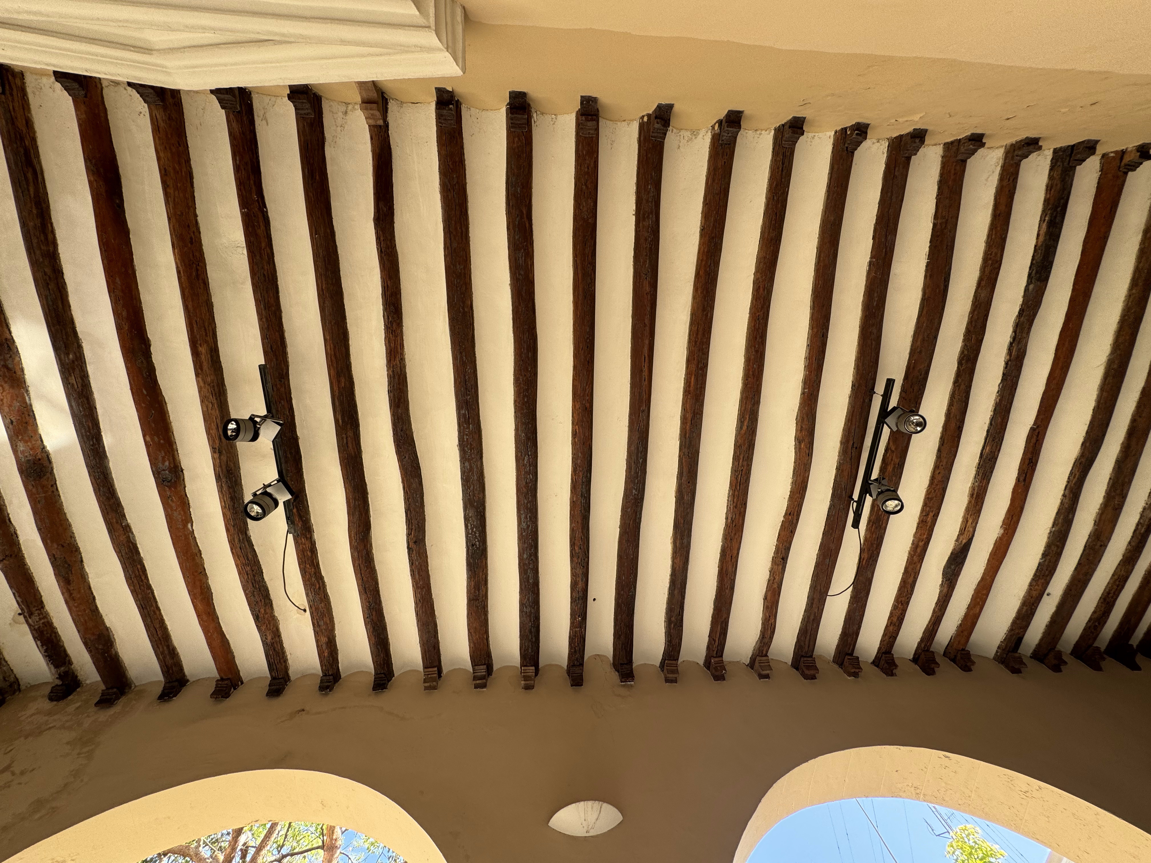 Wish I could find a bit of ceiling without those lights.  No luck.
