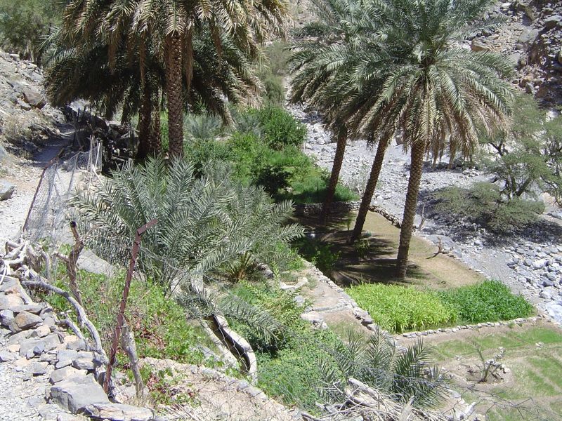 Cross-section from footpath down across arable land to wadi floor.