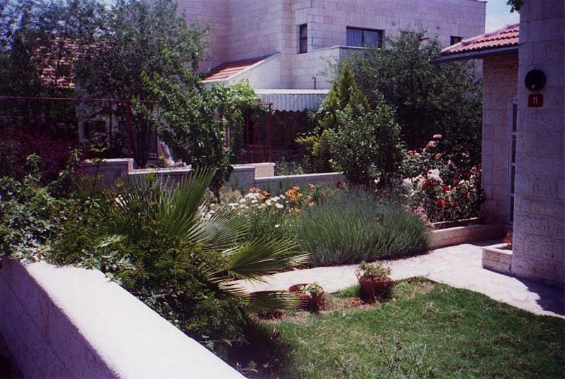 The high end: a backyard at Har Gilo, high above Bethlehem and with a superb view west toward the Mediterranean.