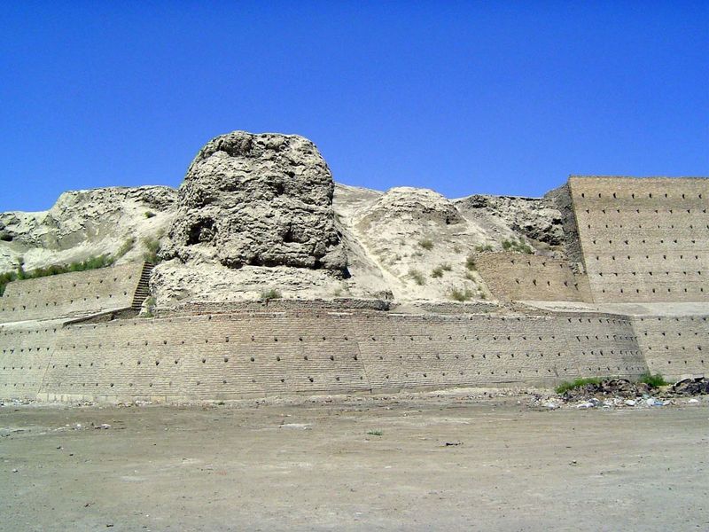 A closer view of the wall in contrasting states of health.