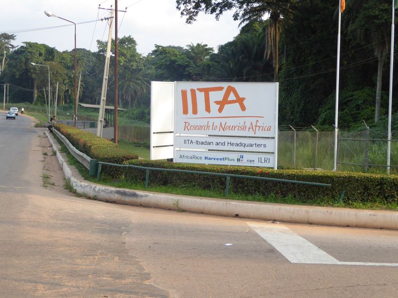 It's the International Institute of Tropical Agriculture.