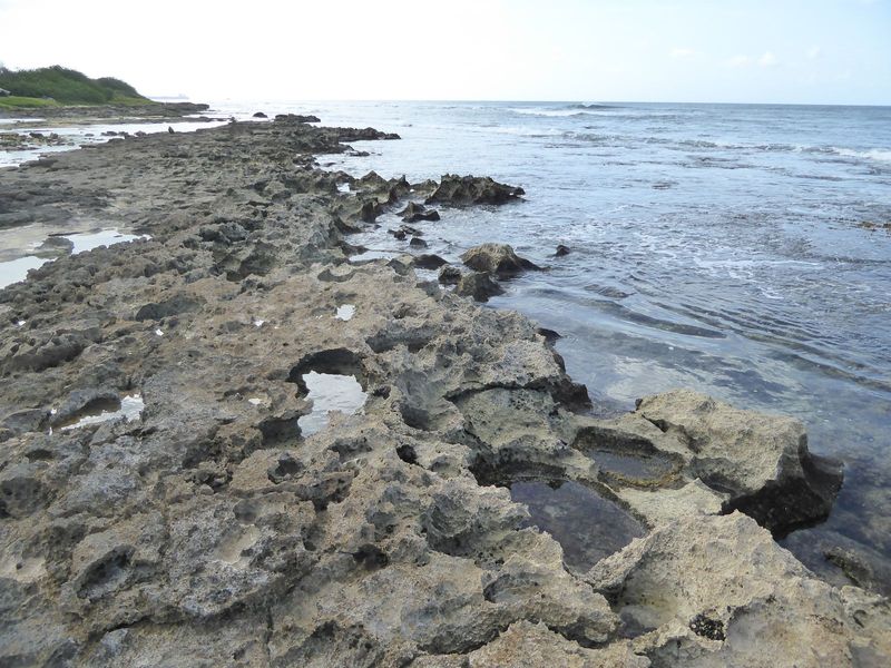 Ouch, ouch, ouch: you have no idea how sharp coral can be until you try walking on it.