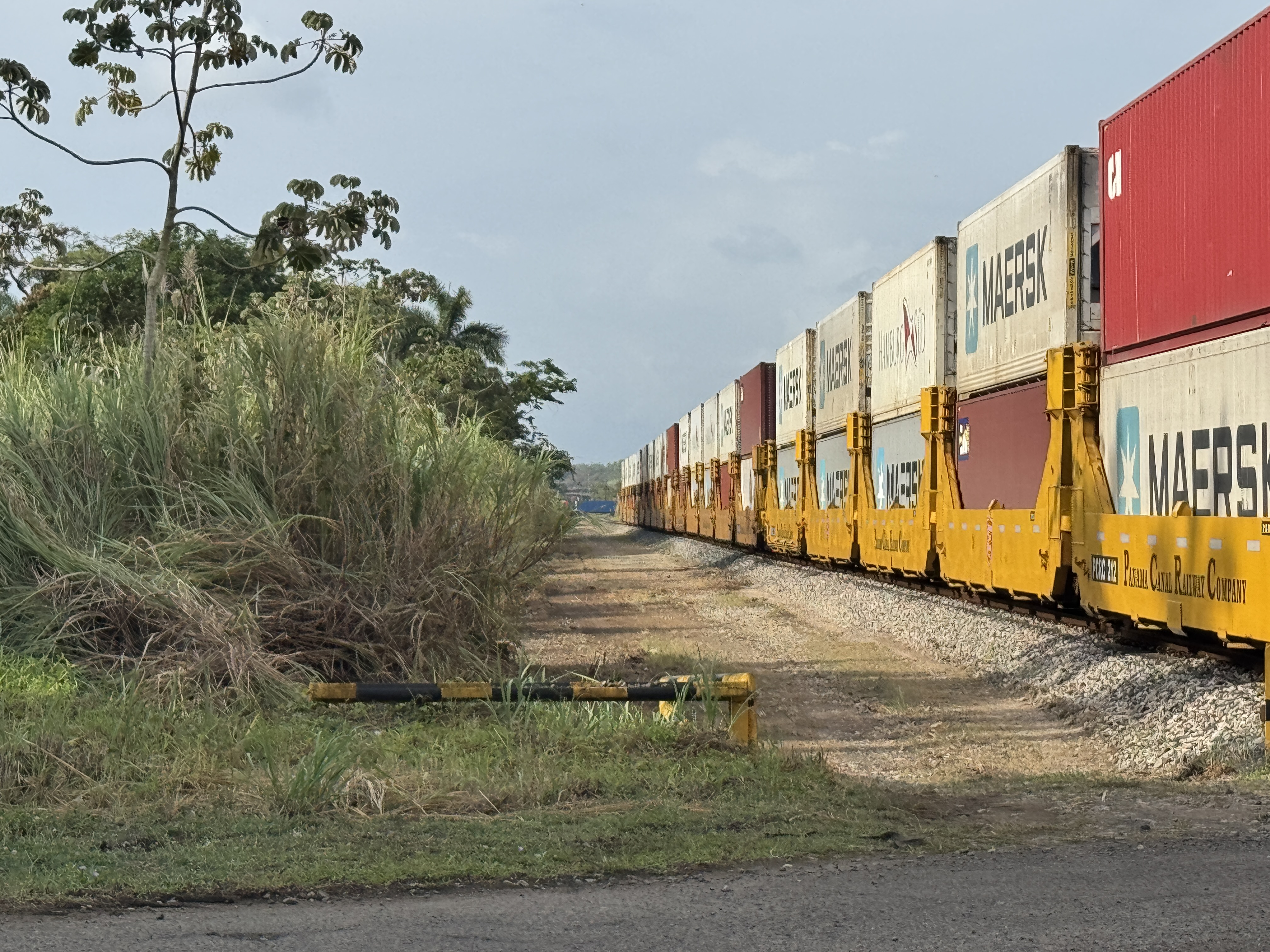 A dozen trains cross the isthmus daily.  It's a contrast from 1955, when a Canal engineer wrote that "serious consideration is being given b