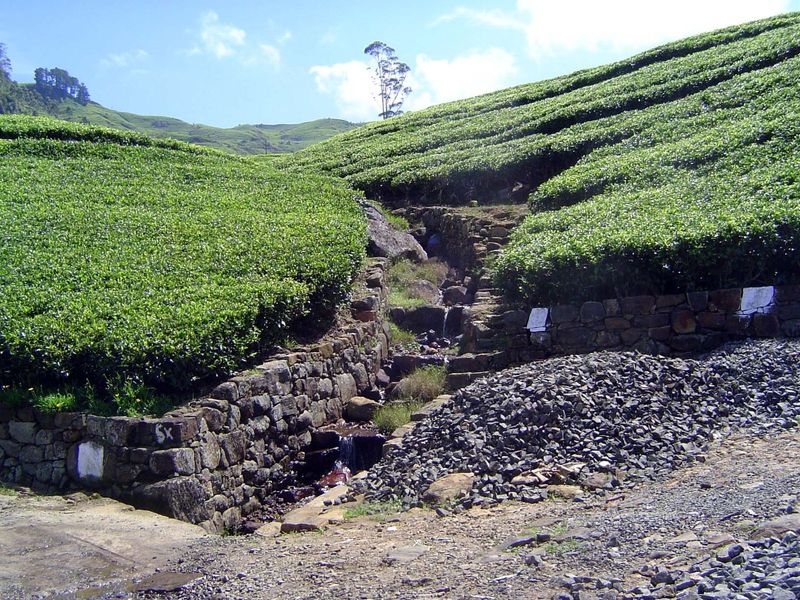Elaborate drainage works to minimize erosion.