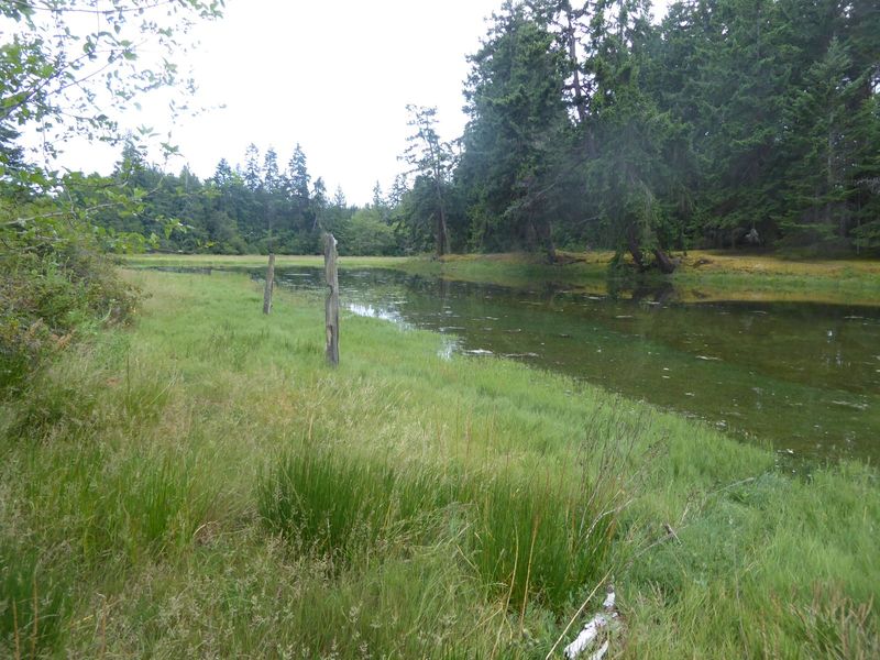 Calling it a salt marsh doesn't seem very kind, but that's what it is, and it's enough to make you reconsider your nomenclatural prejudices.