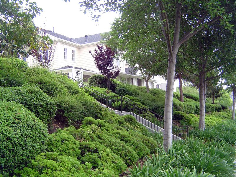 An even more verdant barrier.