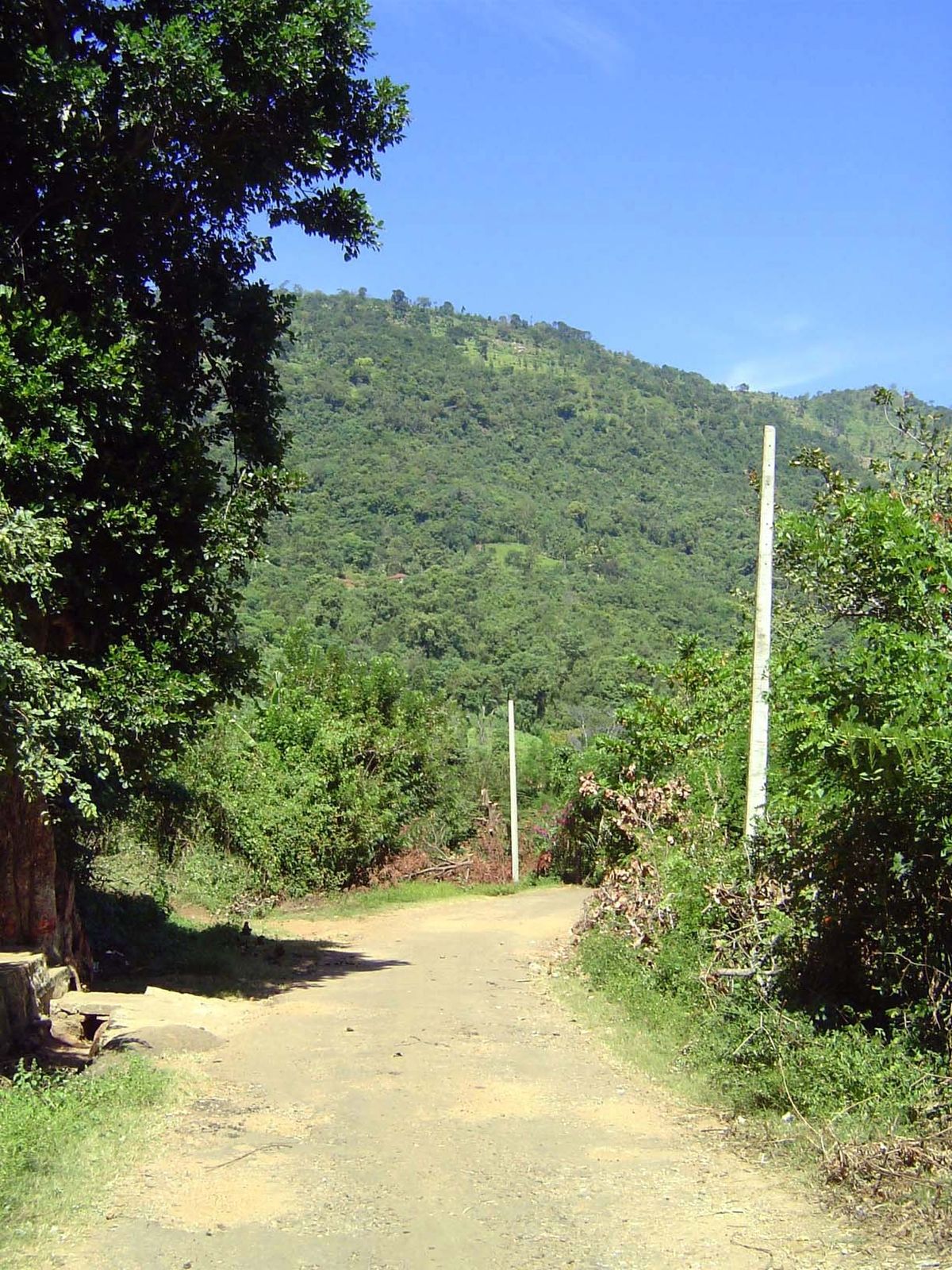 Village road, almost with electricity.
