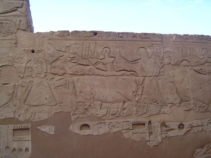 On the walls of the courtyard, garlanded bulls walk in the Opet Festival.