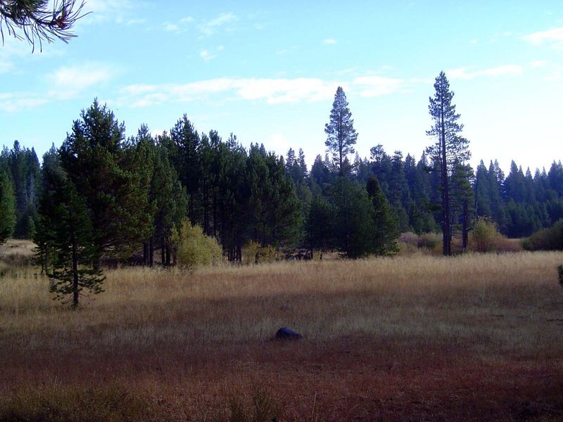 A couple of miles north of town, an innocent-looking meadow.