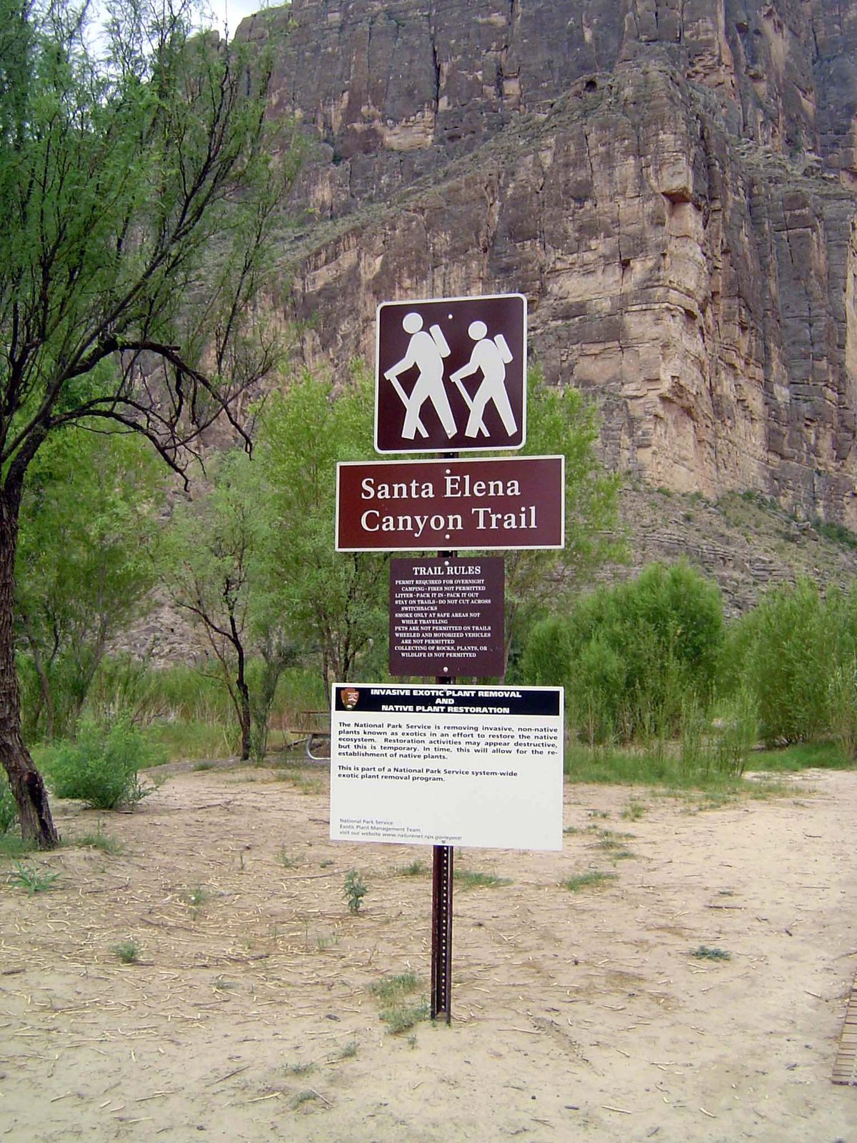 We cross it and head up the very tame canyon trail. But notice how he's in front of her. Tut, tut!