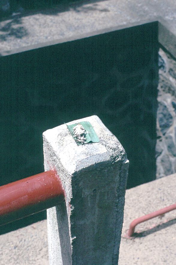 An offering placed at a small dam built by the Asian Development Bank to improve water management. It slightly embarrassed the government en