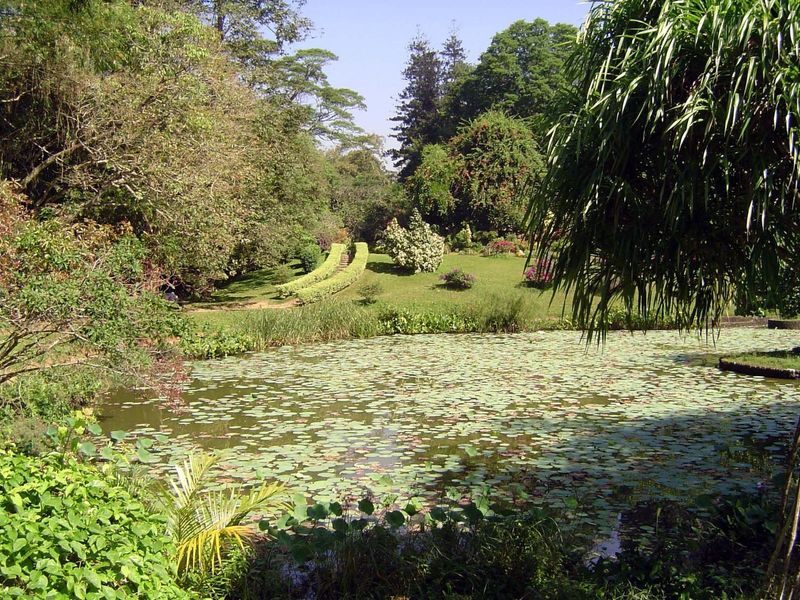 Although the garden was established as a hardheaded economic undertaking, it was also designed with an eye for beauty.