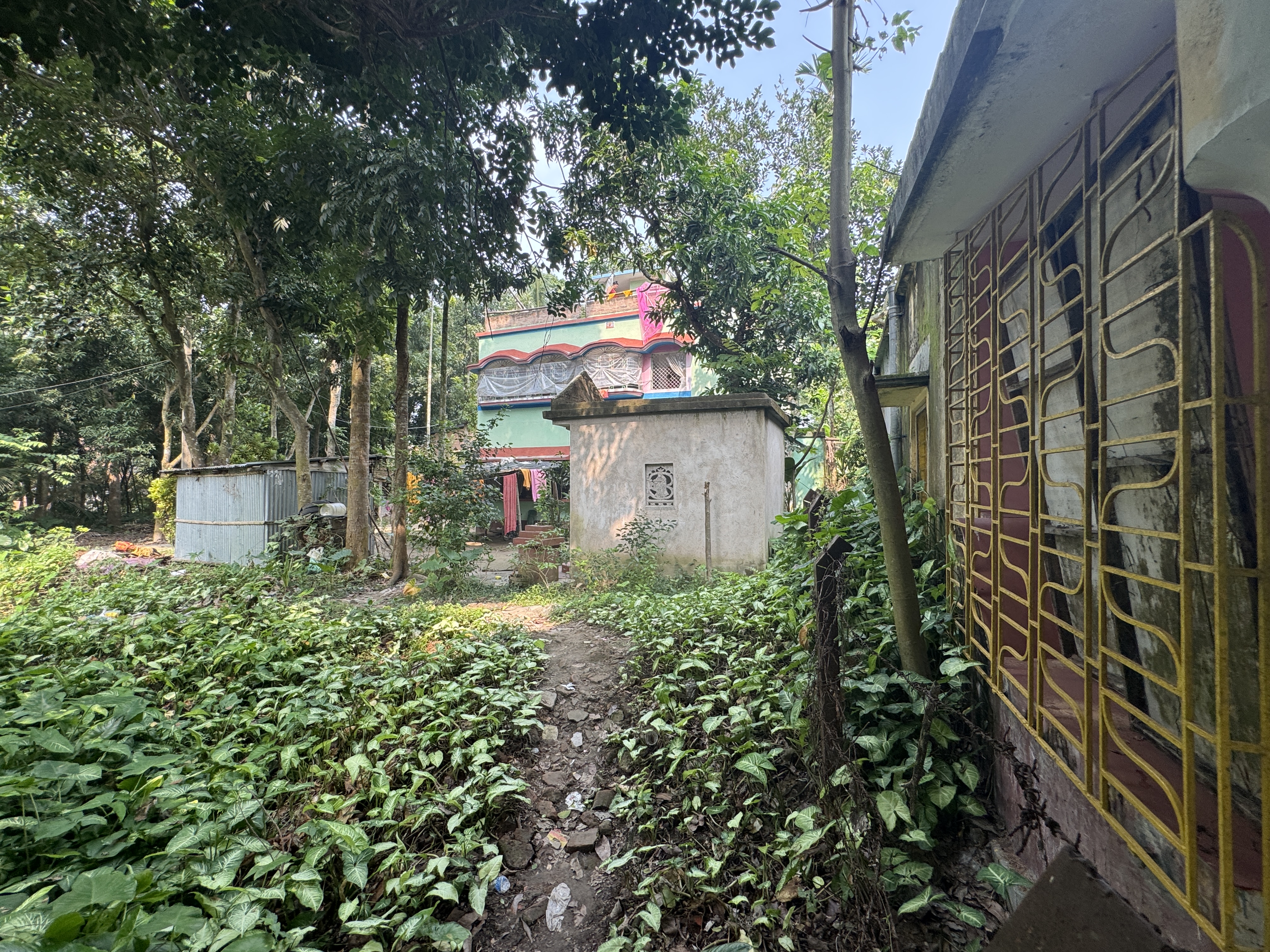 The neighborhood is filling up with bigger houses.