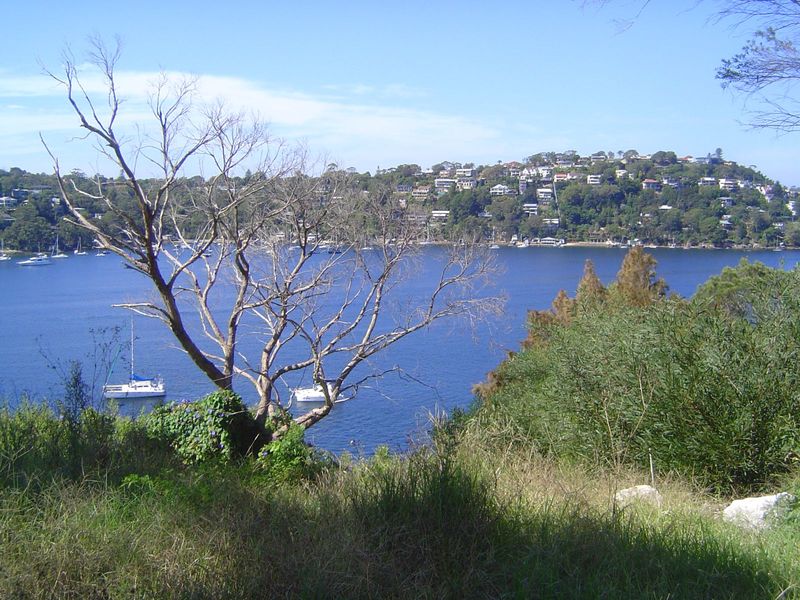 The parkland on the south side Sailor's Bay is much narrower.