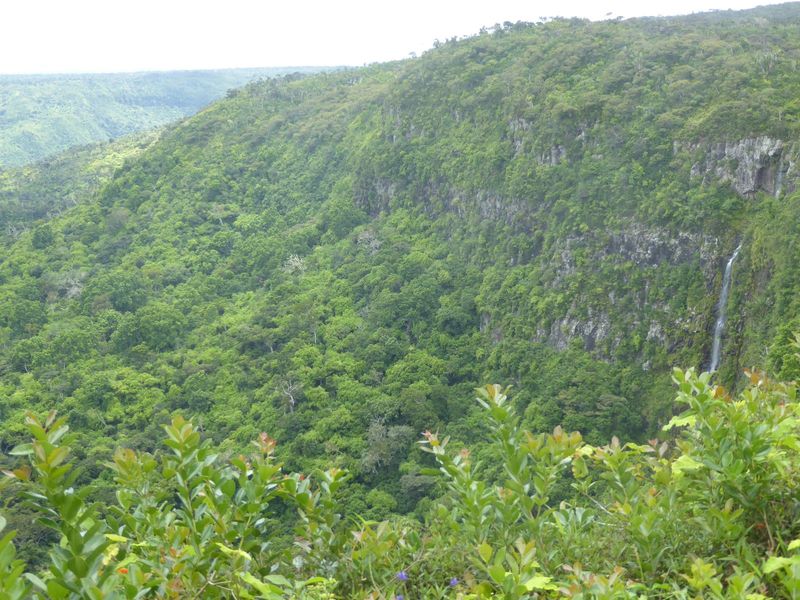 We've jumped about 15 miles west to the Black River Gorge. This is about 20 miles south of Port Louis, and it's inland a couple of miles fro
