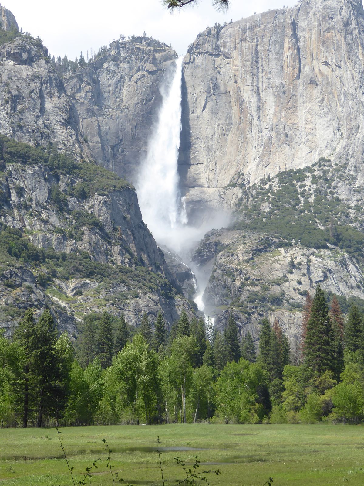 Across the valley, Yosemite Falls on Yosemite Creek was as full as it gets.