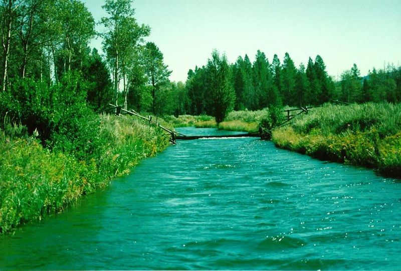 South of Yellowstone, an irrigation ditch along the Snake River north of Jackson.