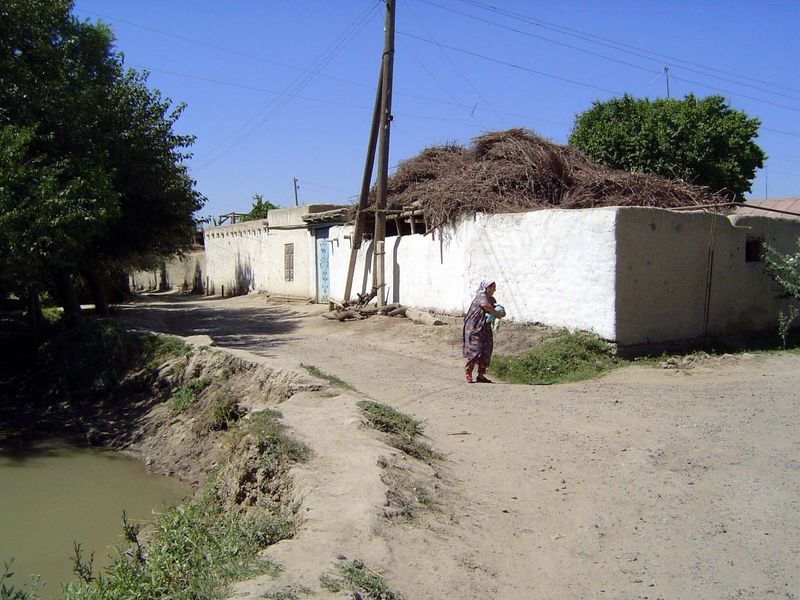 So the offices of the cotton syndicates are in good shape. And how do the poorer villagers live? Well, we've left the main road for some bac
