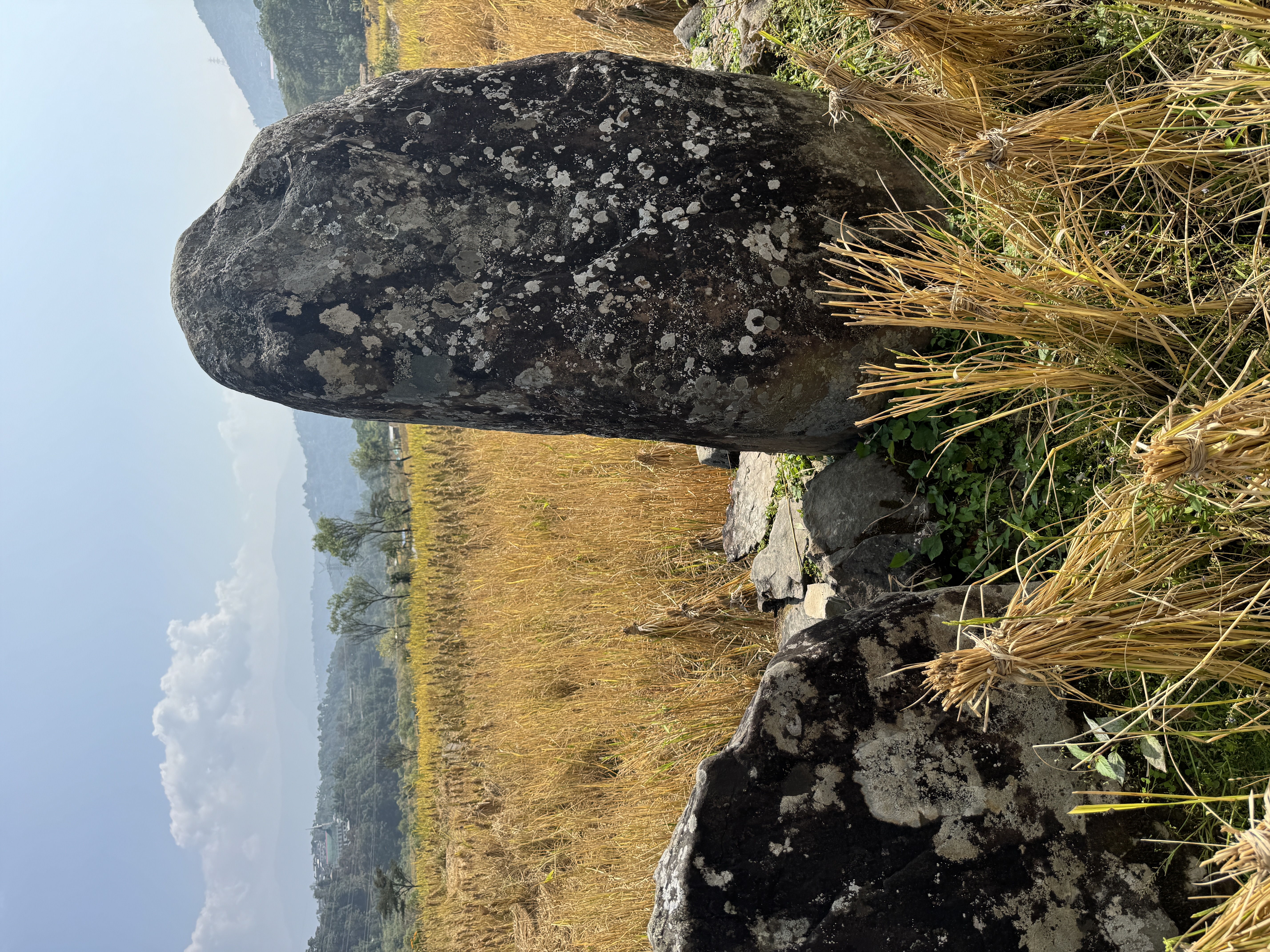 And in the sea of paddy, monoliths have been erected.  "Dotted all over the village and its outskirts may also be seen numbers of monoliths,