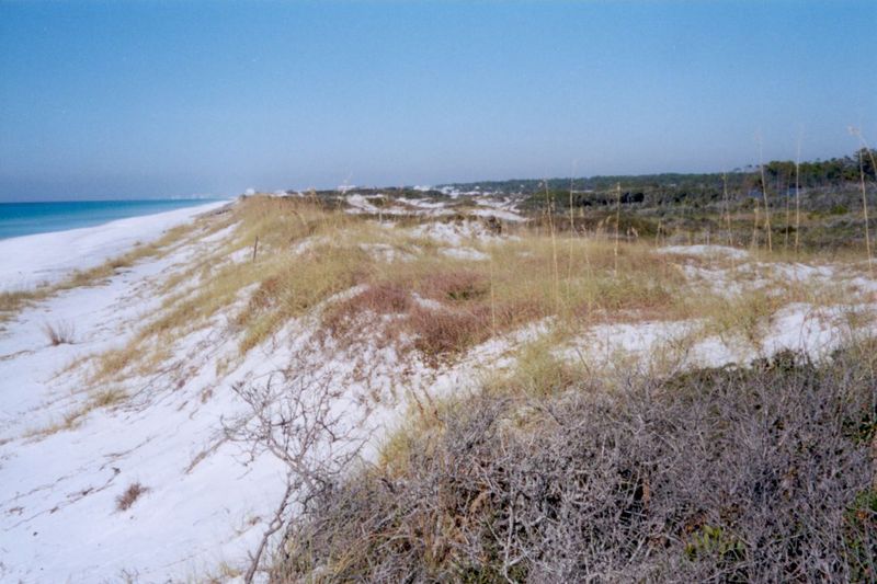 From the Mexican border to New York, the East Coast consists of a coastal plain, nearly all of which of which is edged by sandy beaches. The