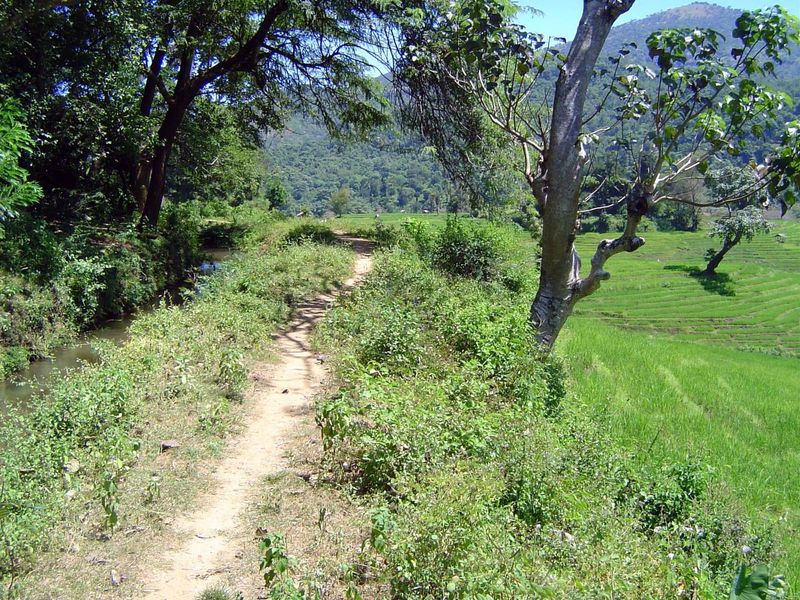 Canal-bank path, with terraces sloping away from it.