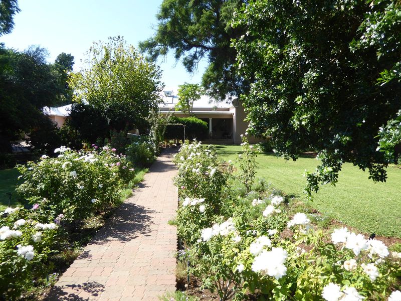 Older houses in town have the incomparable charm of gardens sustained by an abundance of water and cheap labor.