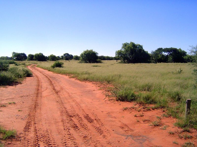 Side road into the veld.