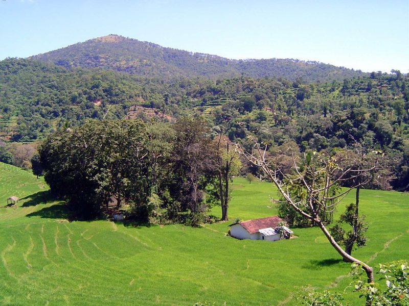 Villagers say that Le Mesurier stayed at the house in the grove when he occasionally visited the village.