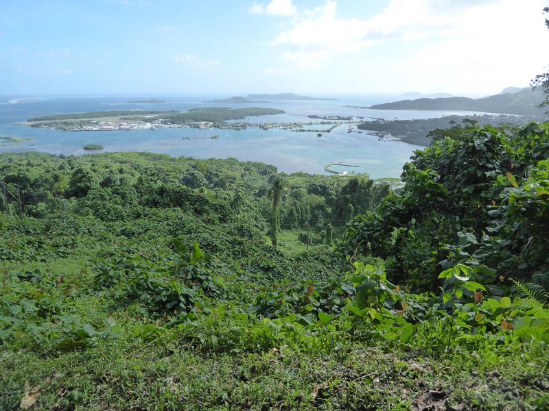 We're still up top: here's the view over the island's airport, on Dekehtik Island, now linked to the main island by road. The one town on th