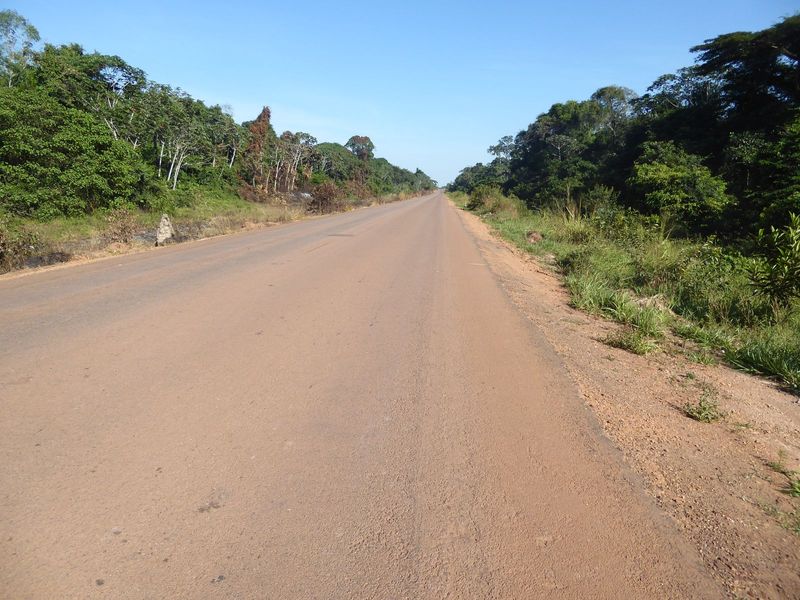 We've gone off on a branch road MT220. Call this view of the forest the "before" shot.