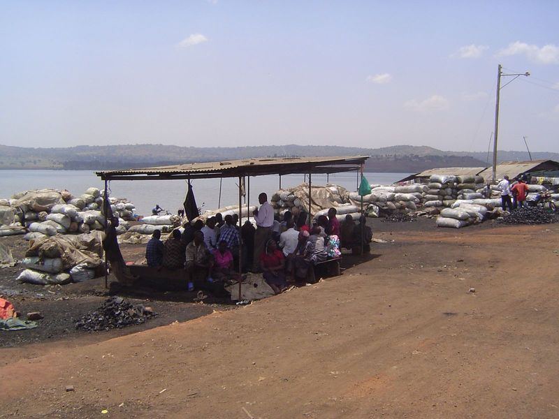 Down on the lakeshore, charcoal sellers had arrived by canoe, unloaded, and begun to wait for buyers.