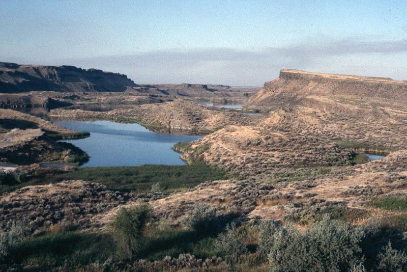 Though full of waterfowl, Moses Lake is an artificial pond formed by seepage water from the irrigation project. The flood basalts underlying