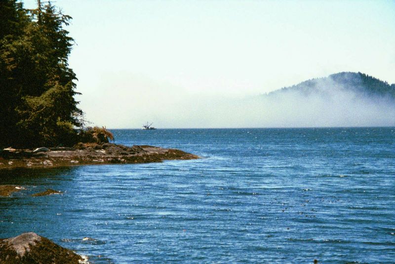 Broader opportunities awaited loggers on Vancouver Island, which a century ago offered a swath of timber 300 miles long, north to south. Her